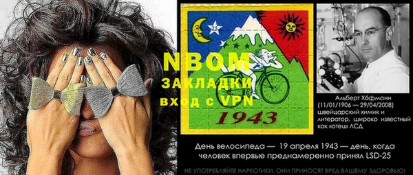 ПСИЛОЦИБИНОВЫЕ ГРИБЫ Михайлов