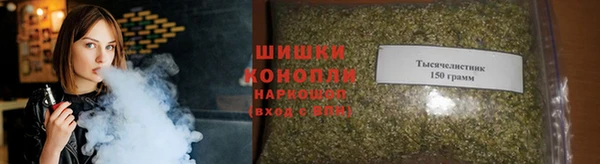 ПСИЛОЦИБИНОВЫЕ ГРИБЫ Михайлов