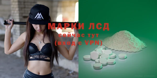 ПСИЛОЦИБИНОВЫЕ ГРИБЫ Михайлов