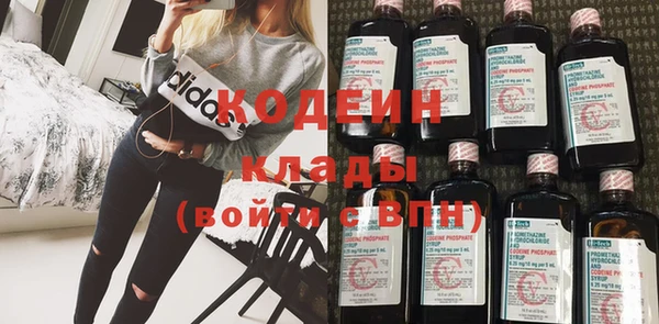 ПСИЛОЦИБИНОВЫЕ ГРИБЫ Михайлов