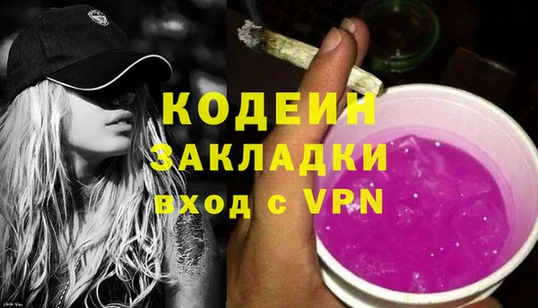 ПСИЛОЦИБИНОВЫЕ ГРИБЫ Михайлов