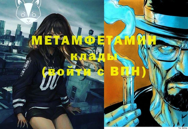ПСИЛОЦИБИНОВЫЕ ГРИБЫ Михайлов