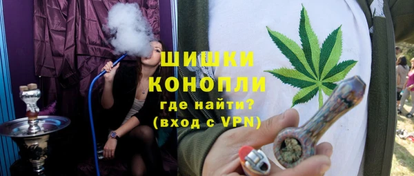 ПСИЛОЦИБИНОВЫЕ ГРИБЫ Михайлов