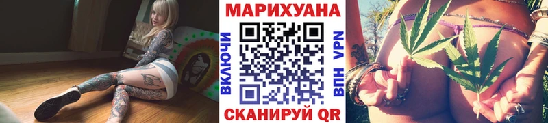 Каннабис OG Kush  Ядрин 